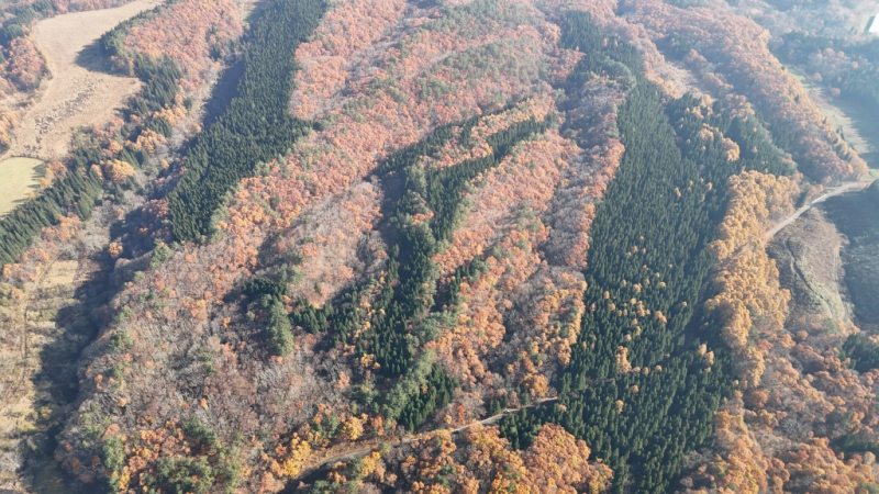 山林物件　岩手県和賀郡西和賀町②