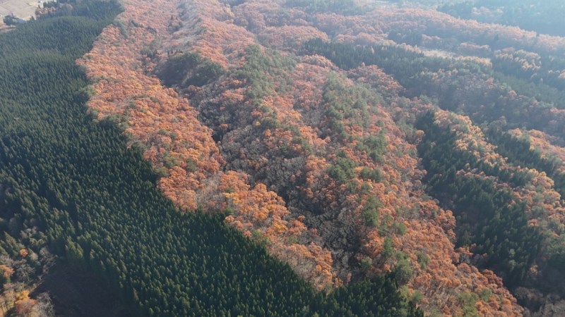 山林対象地北部分の遠景