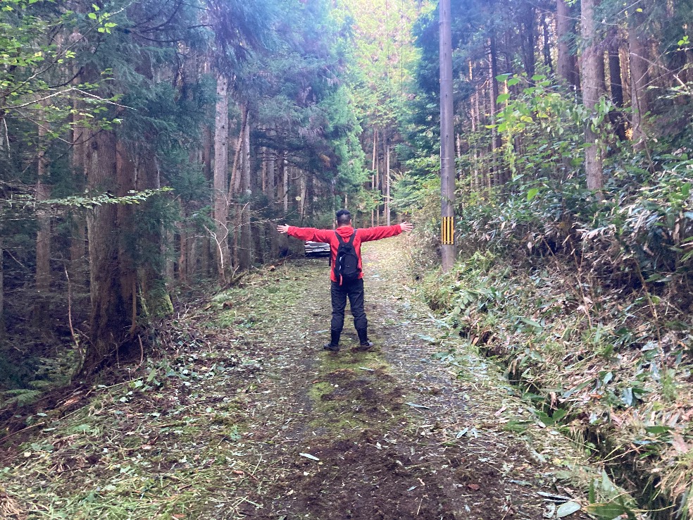 山林内前面道路