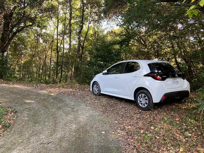 山林内駐車位置