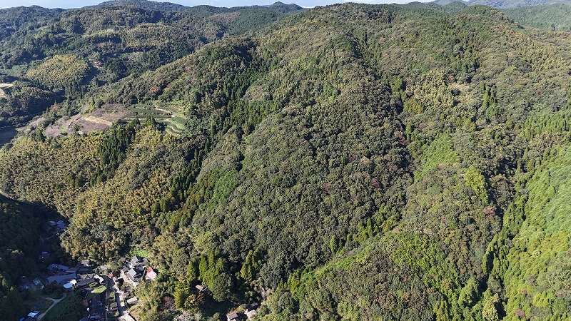 山林物件　福岡県八女郡広川町