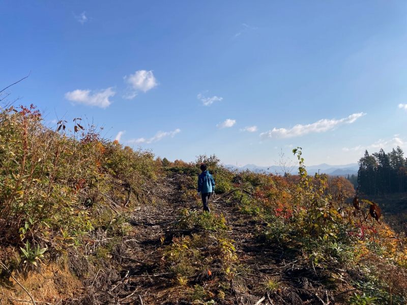 山林対象地前面道路