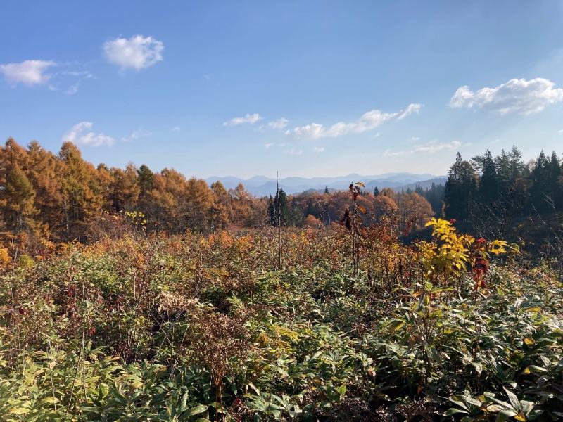 山林対象地からの眺望