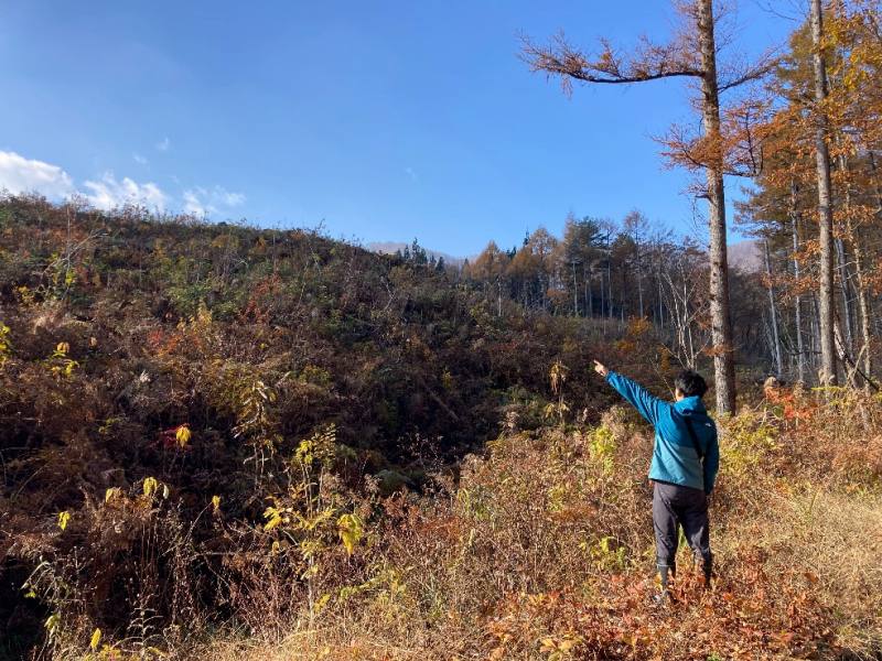 山林北側の境界付近