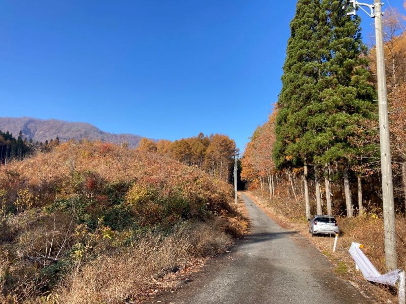 山林内作業道