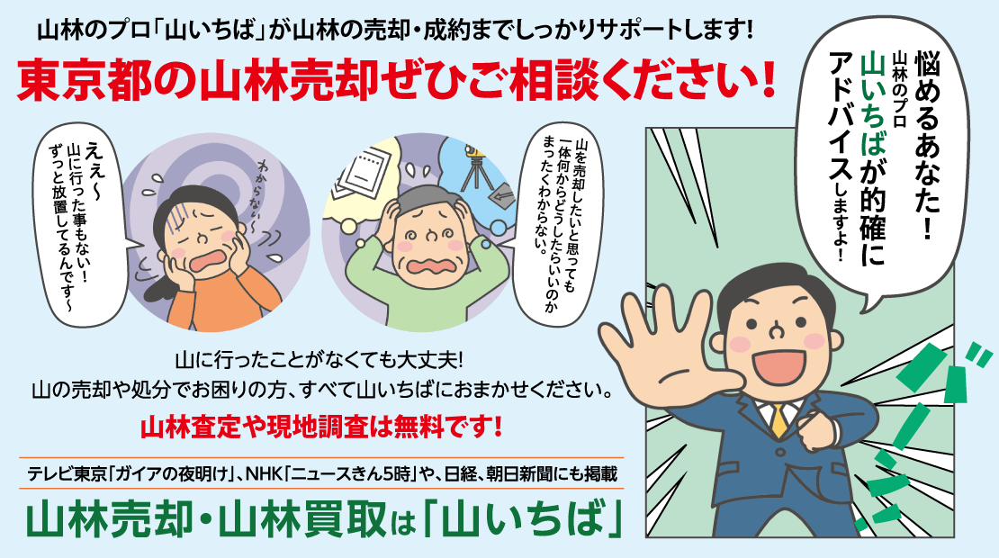 東京都で山を売りたい方 山林売却はご相談ください