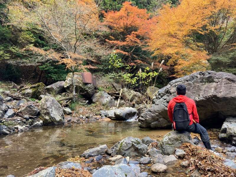 山林内の小川