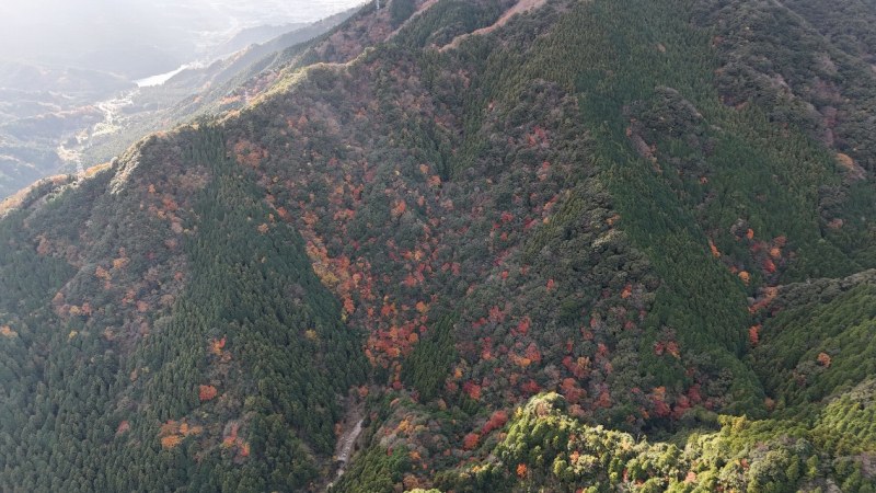 山林物件　三重県亀山市加太北在家