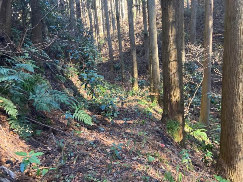 山林対象地まで続く里道