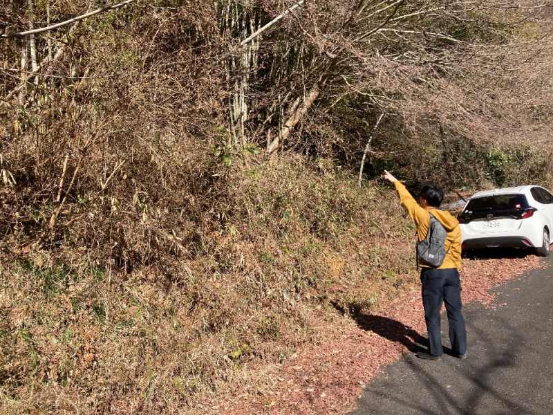 山林内前面道路①