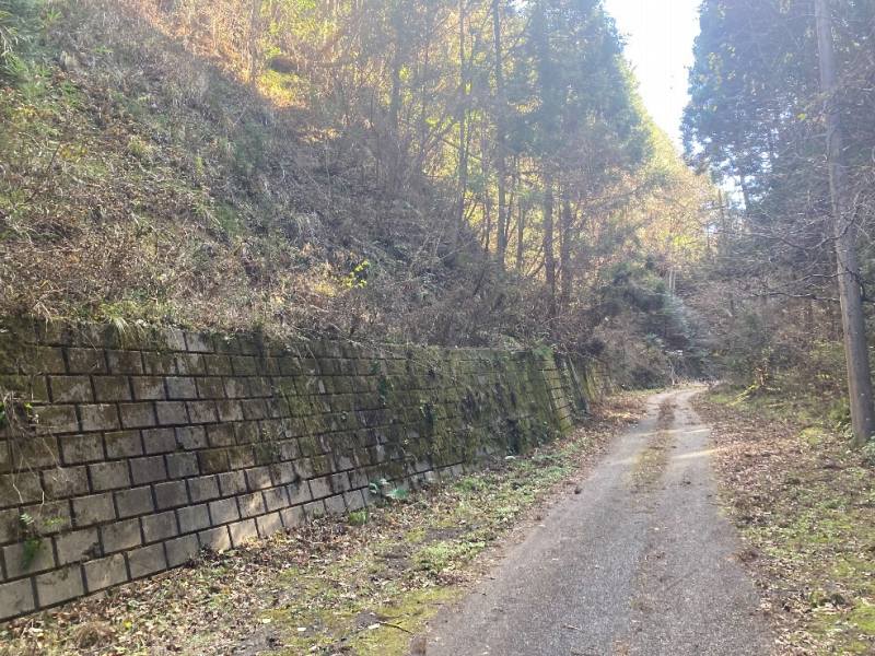 山林内前面道路②