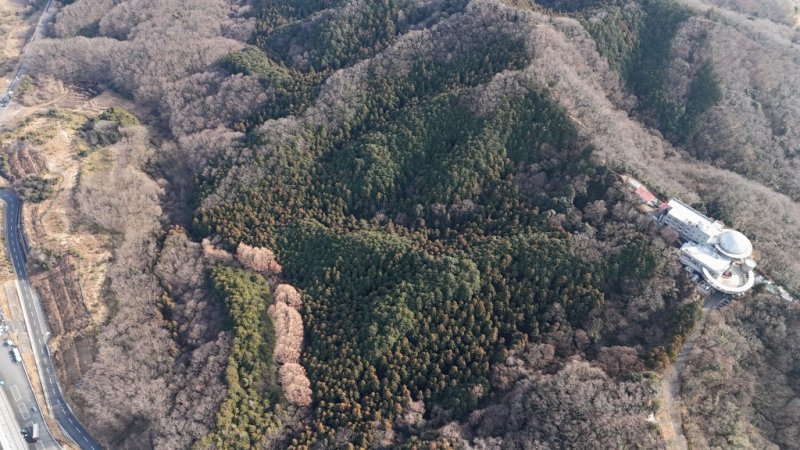 山林物件　埼玉県比企郡小川町