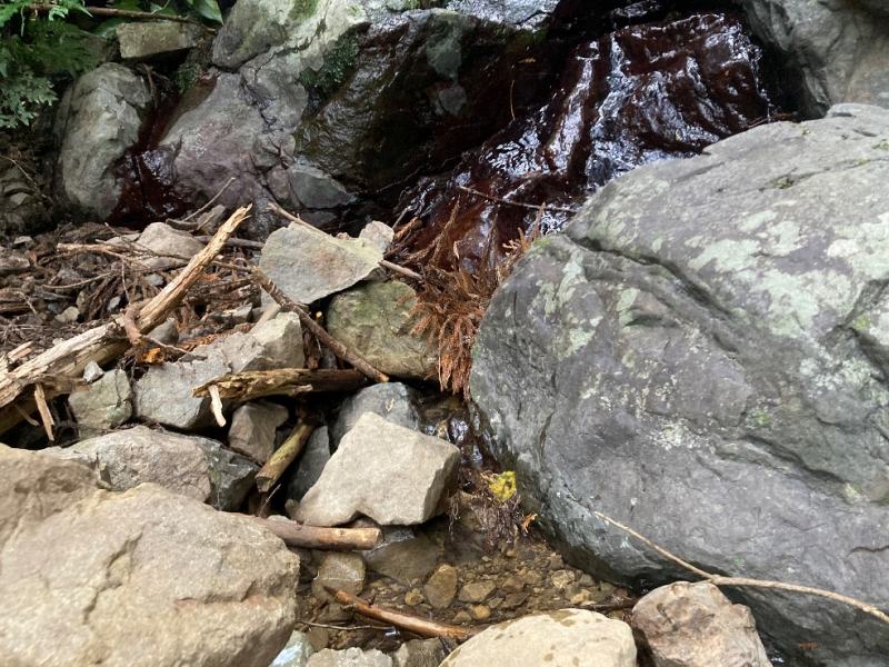 山頂から流れる水源