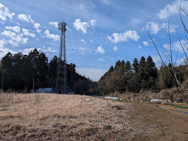 山林東側からの様子