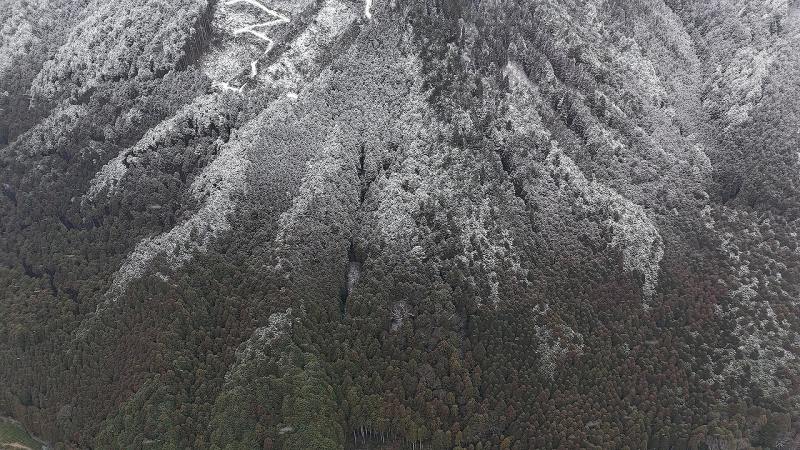 上空から見た山林現地