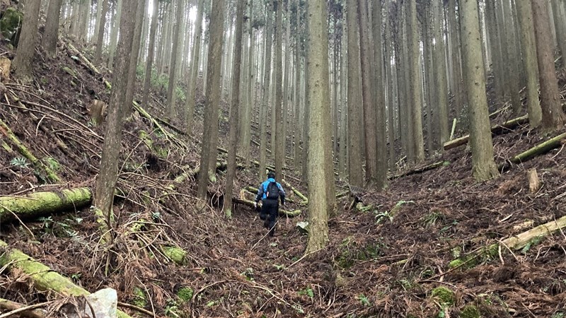 山林物件　兵庫県神崎郡神河町