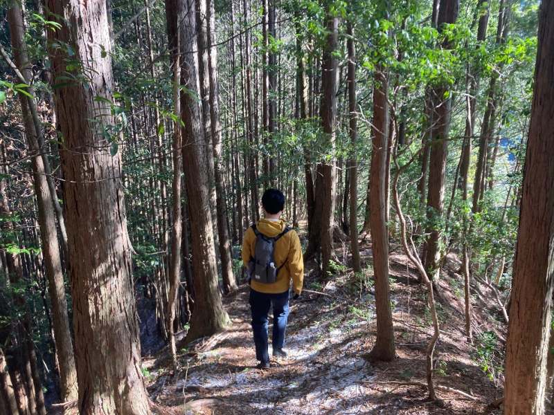 尾根沿いの道