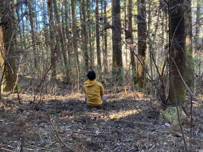 山林内平坦地①