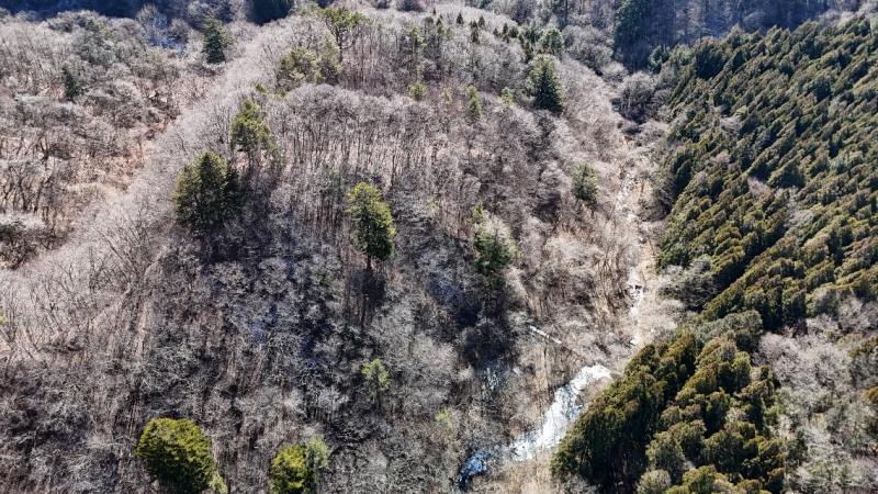 山林南部分の遠景