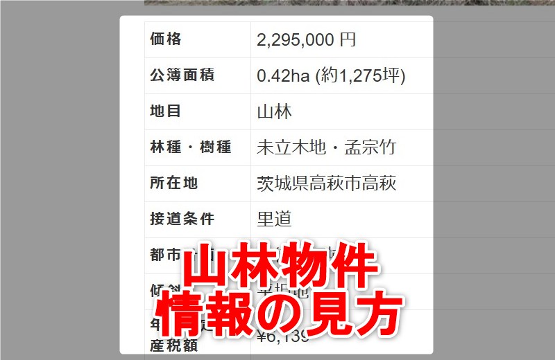 山林物件情報の見方や調べ方　山いちば
