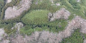 山林物件　栃木県那須烏山市下境