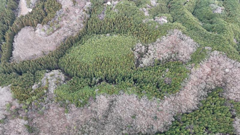 山林物件　栃木県那須烏山市下境