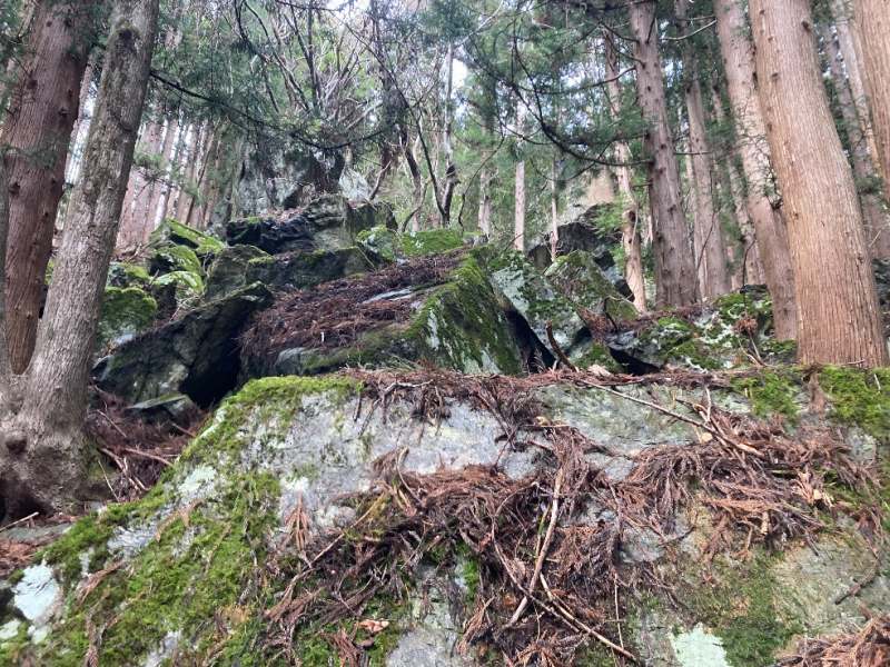 山林内の巨岩