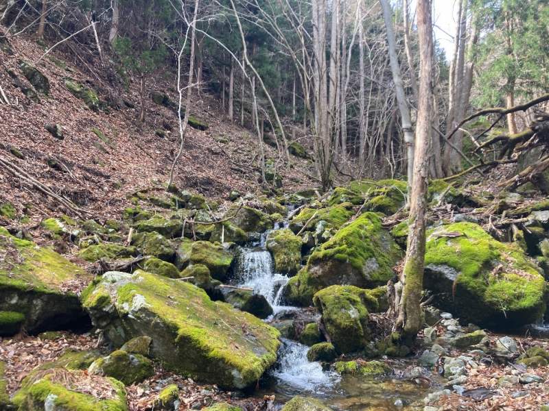 山林境界沿いの沢