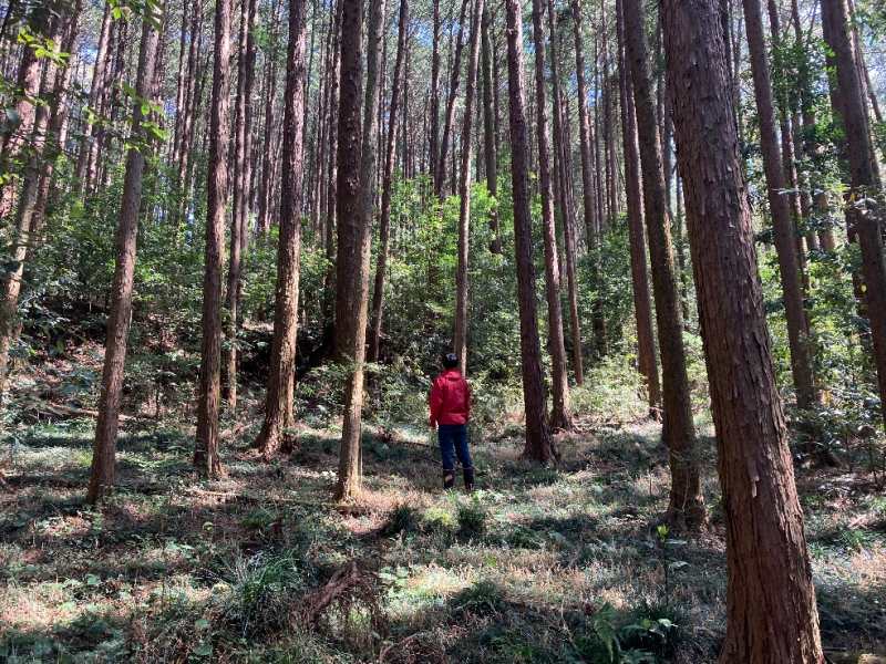 麓の緩斜面地