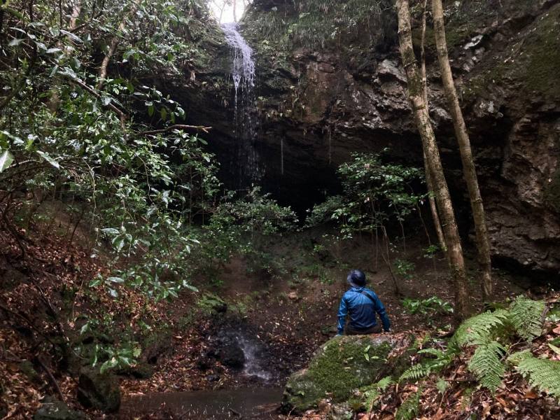 山林物件　島根県鹿足郡津和野町