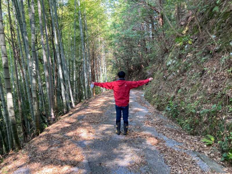 山林内　林道の様子