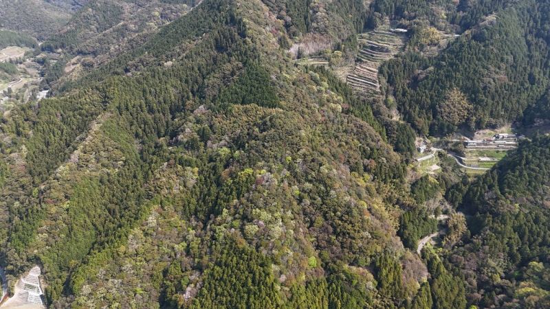 山林物件　高知県高知市鏡狩山