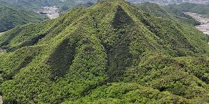 山林物件　兵庫県三田町乙原