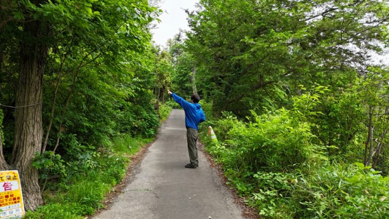 山林対象地西側に面する公道