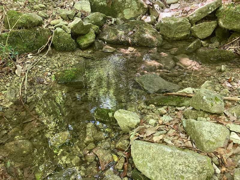 山林内　谷合いを流れる沢