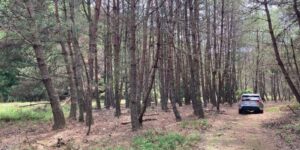 山林物件　兵庫県赤穂郡上郡町