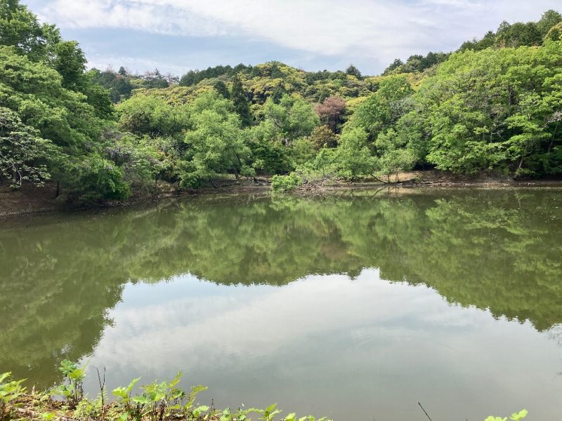 山林に隣接する池