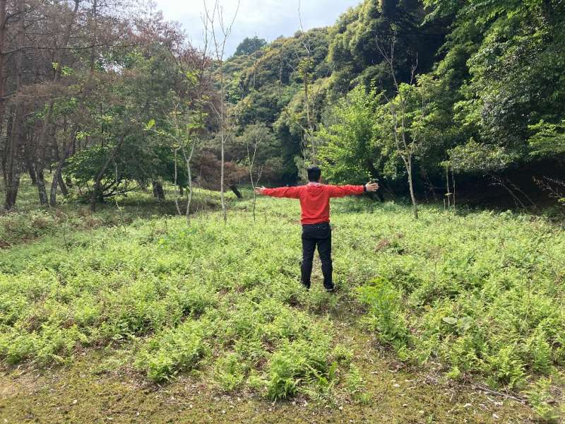 山林内の広場