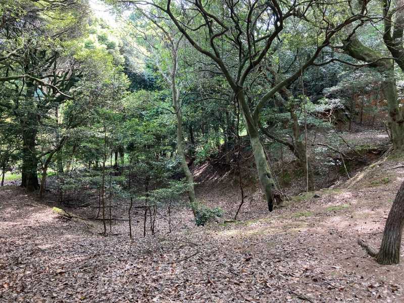 作業道の様子