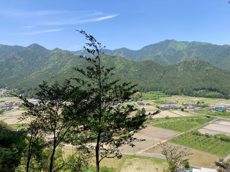 山頂付近からの眺望