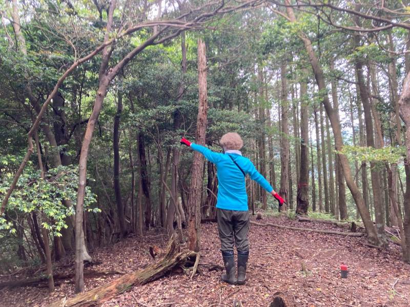尾根沿いの境界杭