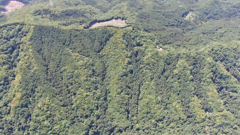 山林全景