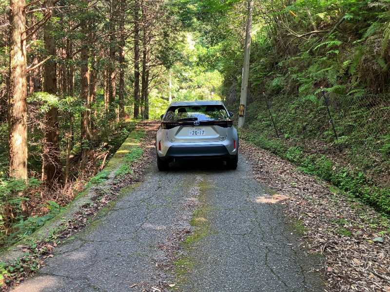 山林前面道路②　左側対象地