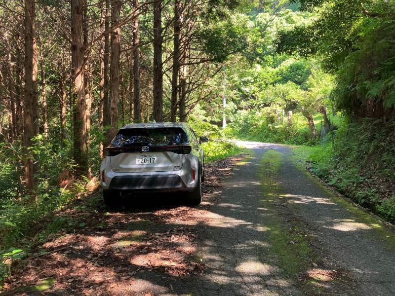 山林前面道路①　左側対象地