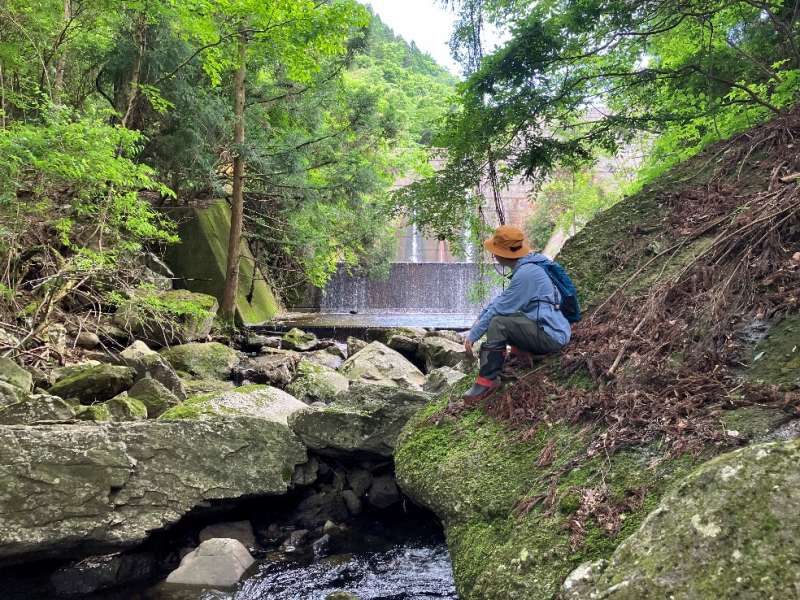 山林前面の沢