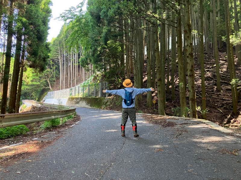 山林前面道路