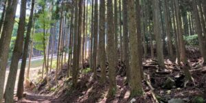 山林物件　福岡県京都郡みやこ町