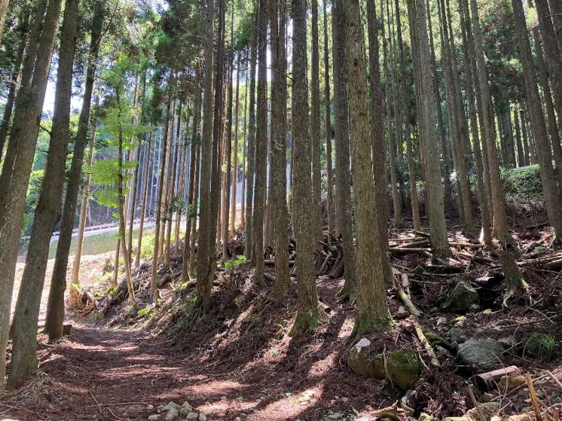 山林物件　福岡県京都郡みやこ町