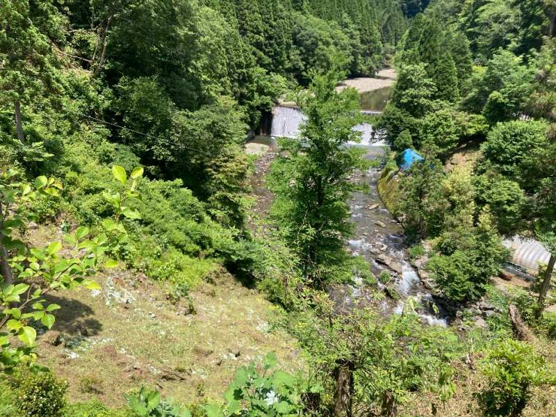 山林からの眺望