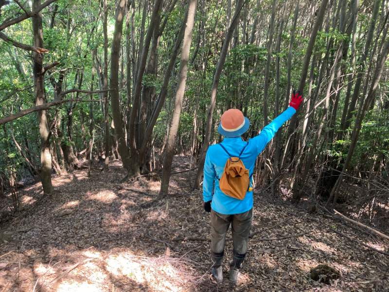 山林東側の境界付近の尾根